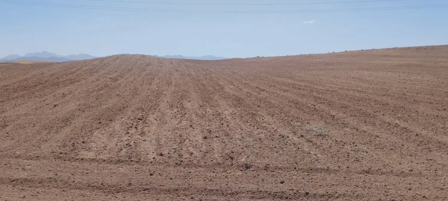 زمین دیم شخم شده وپنجه زده شده اجاره داده میشود|اجارهٔ دفتر صنعتی، کشاورزی، تجاری|زنجانرود, |دیوار