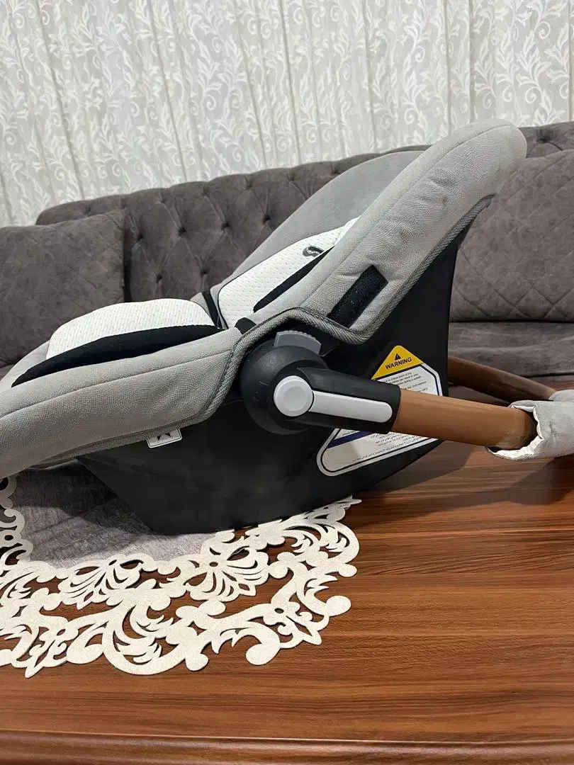 کریر دلیجان|کالسکه و لوازم جانبی|آستارا, |دیوار