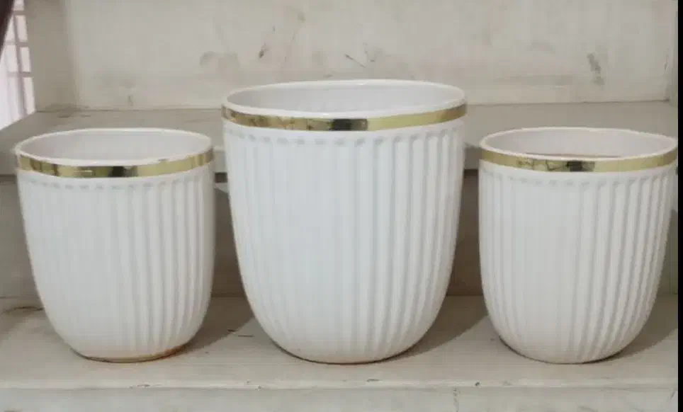 گلدان|گل و گیاه طبیعی|اسلامآباد غرب, |دیوار