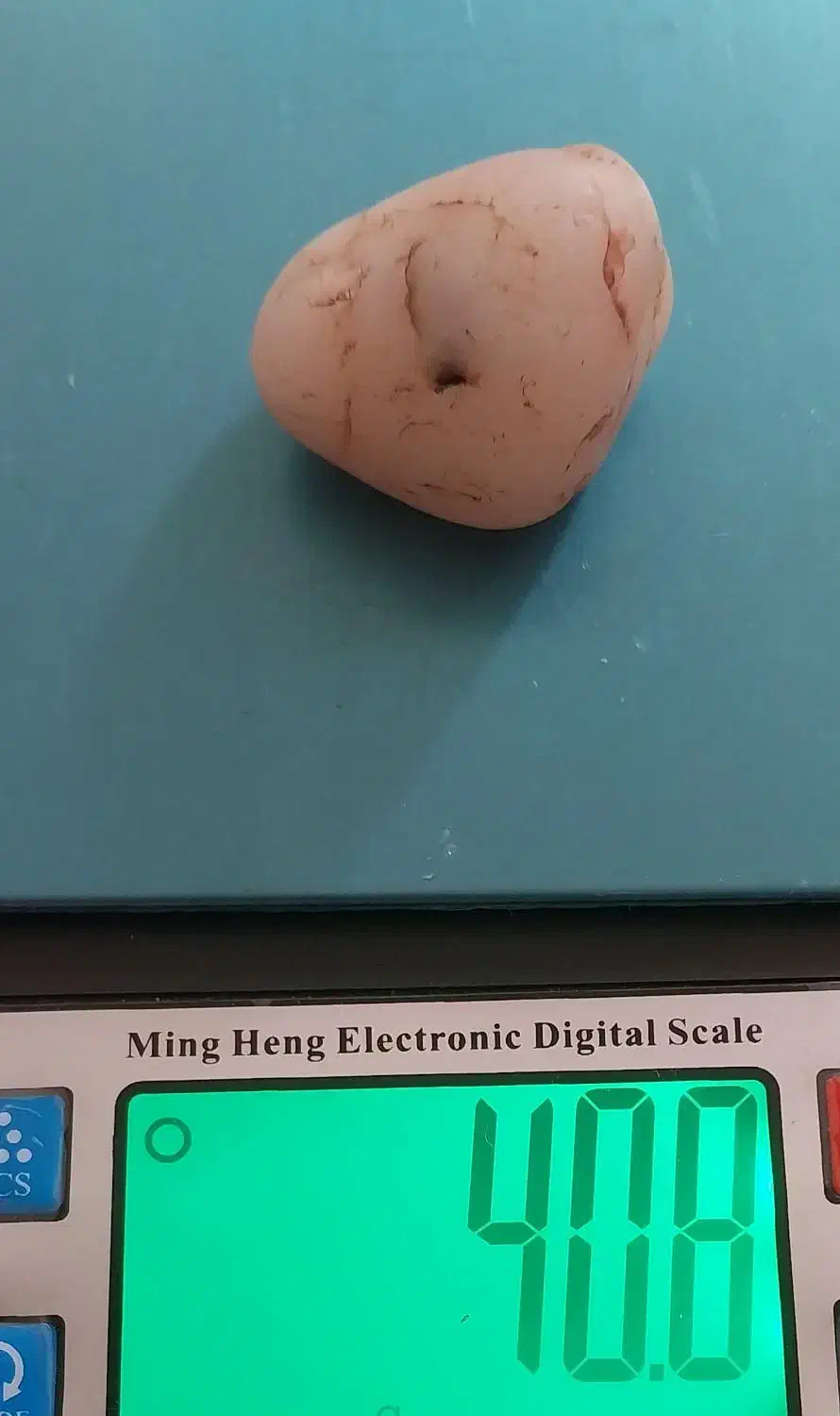 شجر رگ دار آبدار گبری با قدمت ۷۰۰۰ سال|کلکسیون اشیاء عتیقه|بم, |دیوار