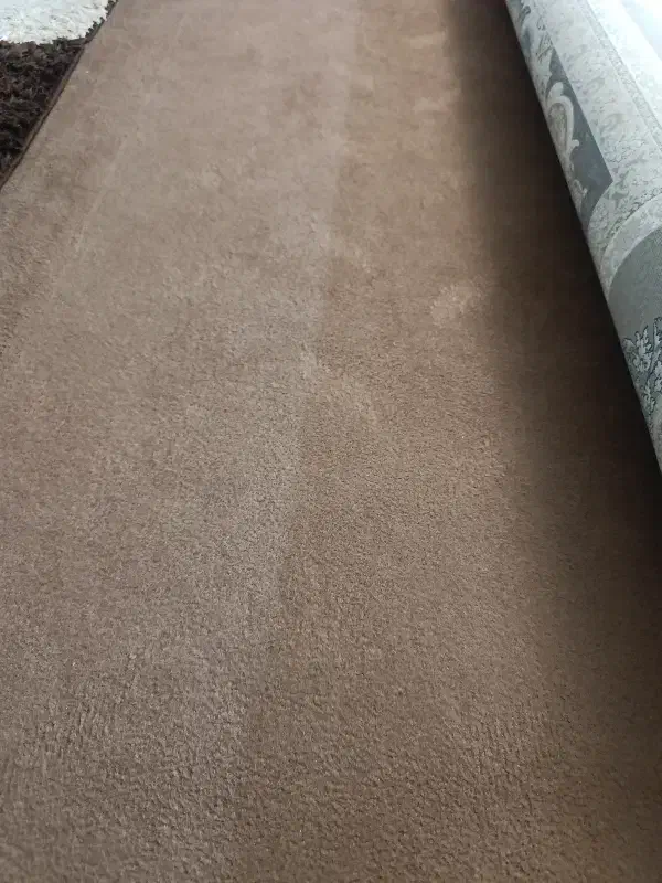 موکت|موکت|قم, نیروگاه|دیوار