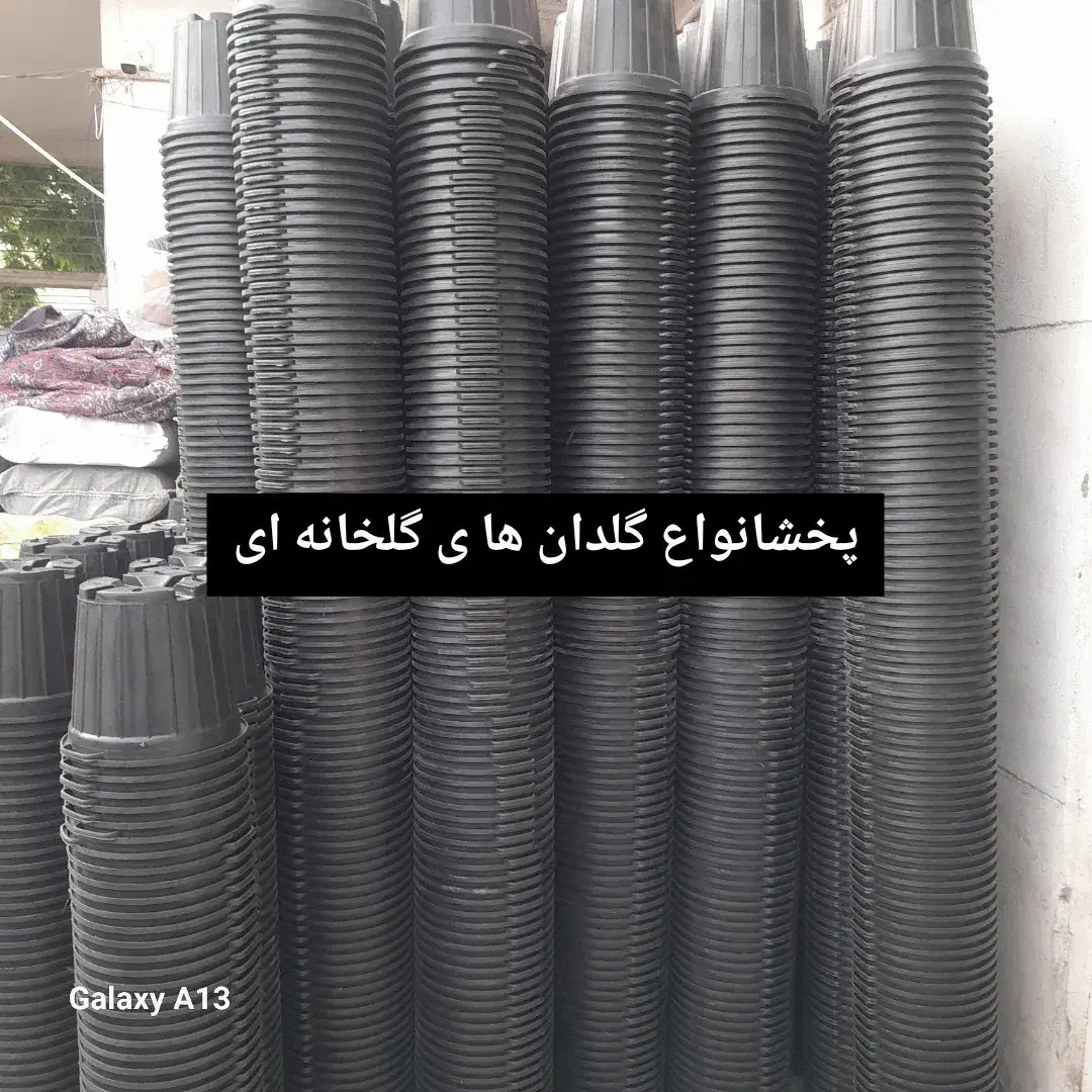 پخش انواع گلدانهای مشکی گلخانه ای|گل و گیاه طبیعی|پاسارگاد, |دیوار