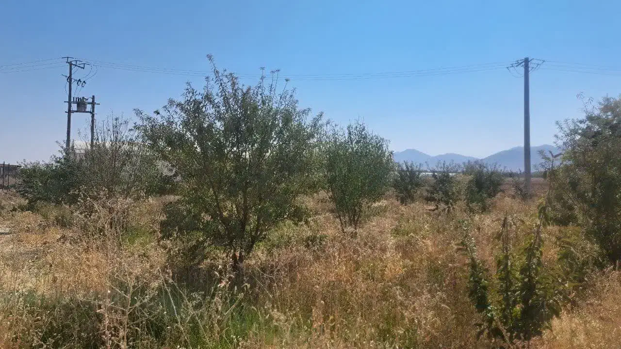 باغ ۸۰۰ متری|فروش زمین و ملک کلنگی|دهاقان, |دیوار