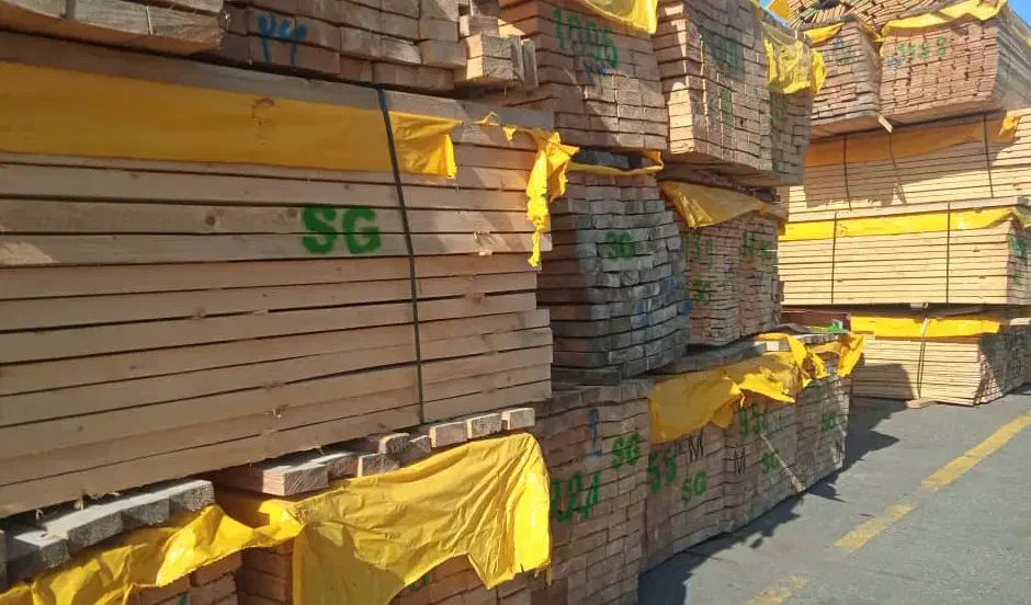 چوب نراد یولکاوساسنا روسی ابعاد واقعی لمبه پلکوبی|مصالح و تجهیزات ساختمان|رشت, شهرک صبا|دیوار