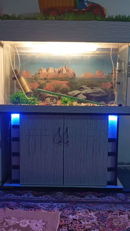 آکواریوم با همه وسایل|ماهی|ورامین, خیر آباد|دیوار