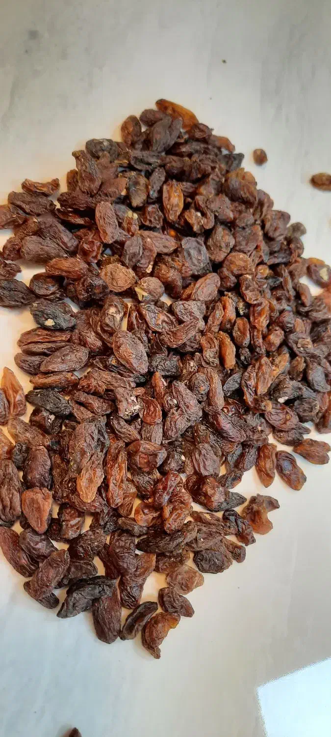 کشمش آفتابی مخصوص آبگیری|خوردنی و آشامیدنی|کاشمر, |دیوار