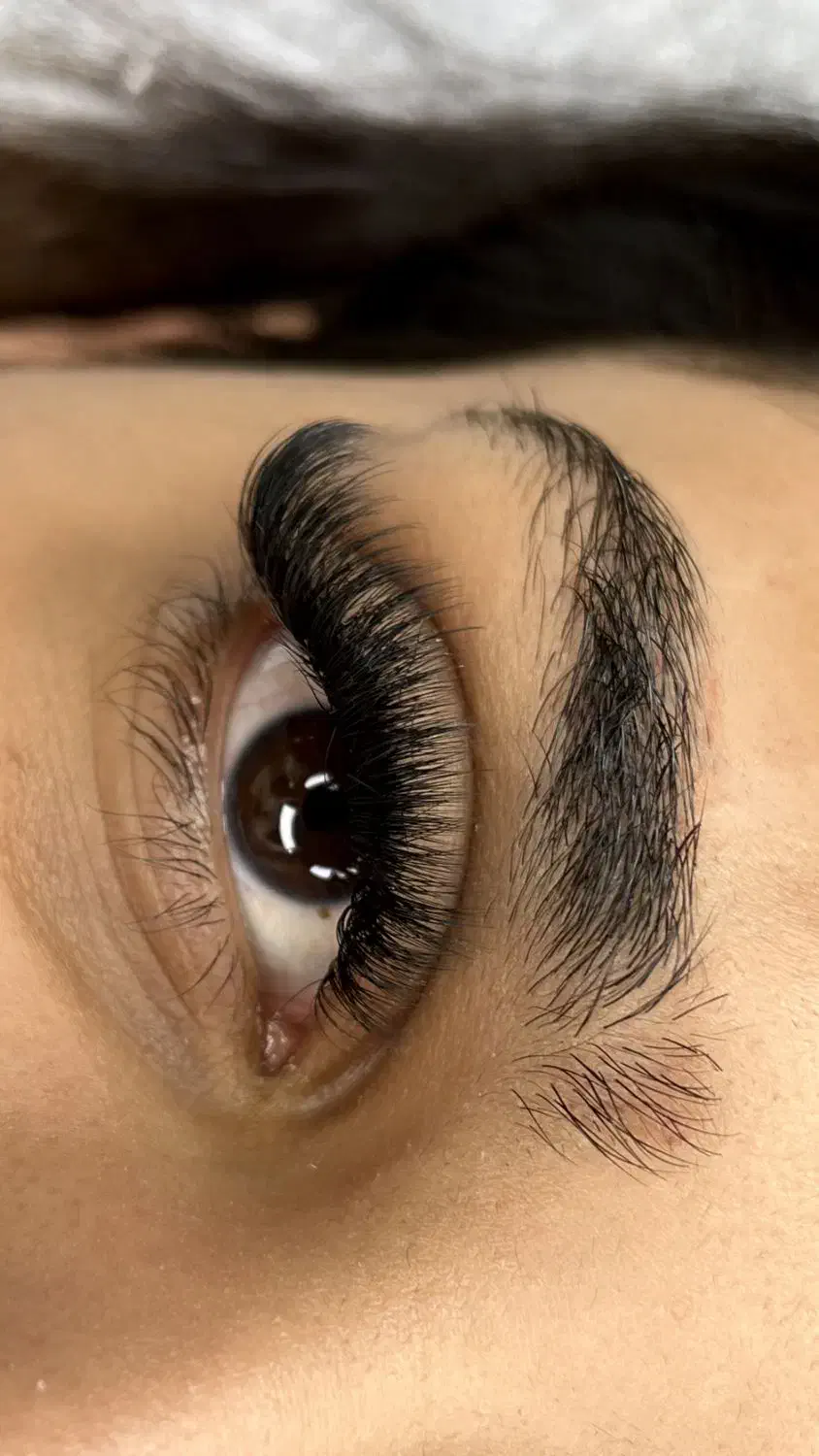 آموزش تخصصی کاشت و اکستنشن مژه + مدرک معتبر|خدمات آرایشگری و زیبایی|شاهین‌شهر, خانه کارگر|دیوار