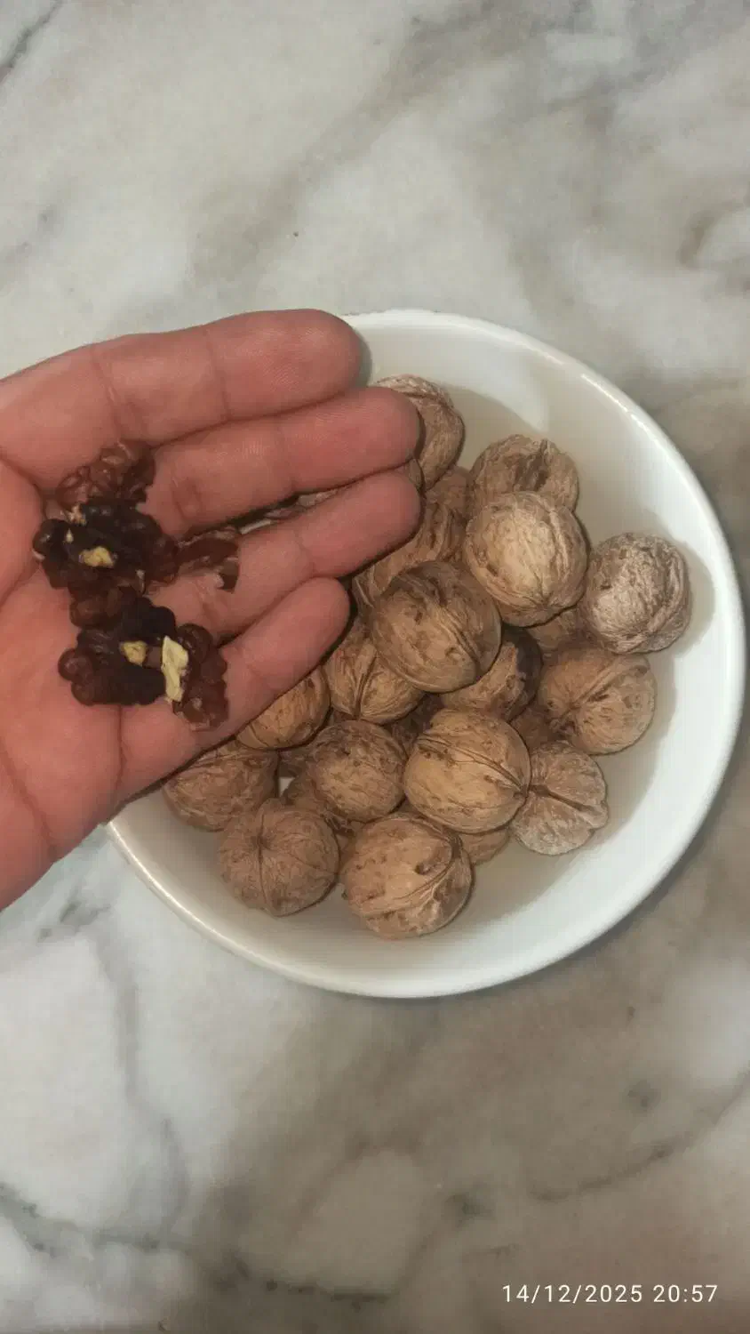 گردو|خوردنی و آشامیدنی|آشخانه, |دیوار