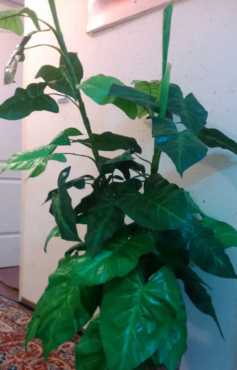 درختچه مصنوعی گل|گل مصنوعی|شیراز, کوزه گری|دیوار