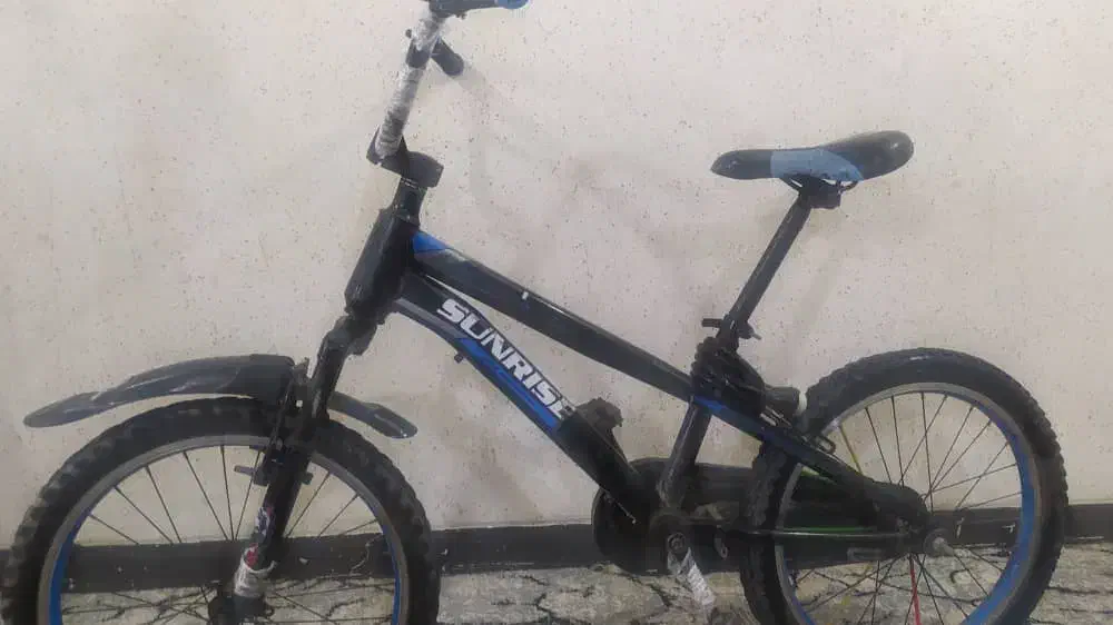 دوچرخه ۲۰|دوچرخه، اسکیت، اسکوتر|اهواز, پردیس|دیوار