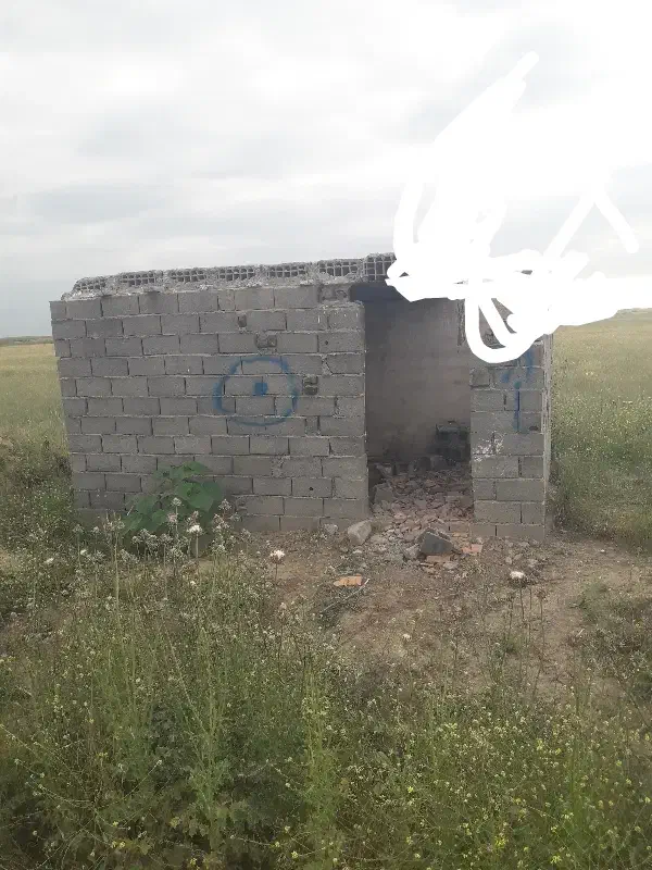 اجاره زمین شالی باچاه عمیق نقد|اجارهٔ دفتر صنعتی، کشاورزی، تجاری|گنبد کاووس, |دیوار