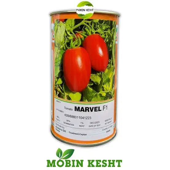 بذر گوجه مارول f1|خدمات باغبانی و درختکاری|حمیدیه, |دیوار