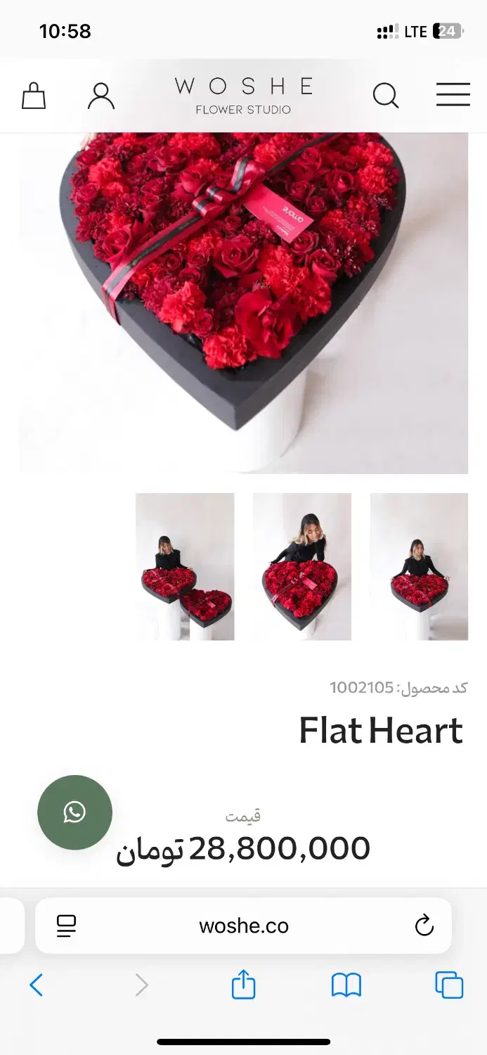 گل ووشه|گل و گیاه طبیعی|تهران, سازمان برنامه شمالی|دیوار