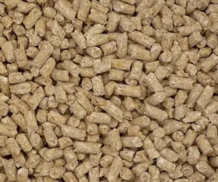 پیش دان ویژه اماده|عمده‌فروشی|نهبندان, |دیوار