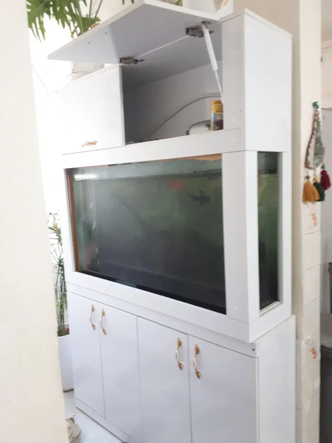 جا کفشی بزرگ با دکور آکواریوم|جاکفشی، کمد، دراور|شیراز, میانرود|دیوار