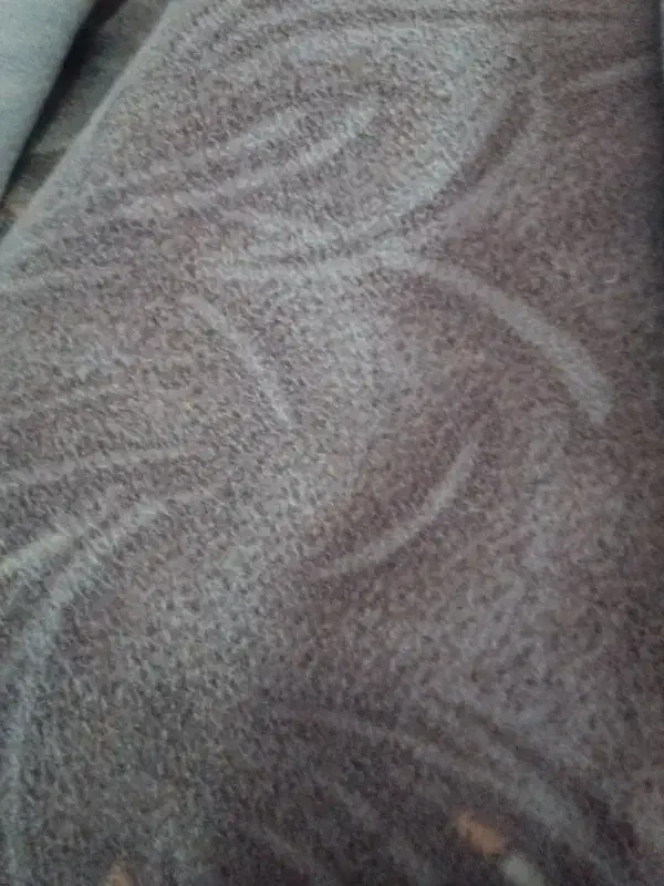 موکت کف برای هشتادمترزیربنا|موکت|شیروان (خراسان), |دیوار