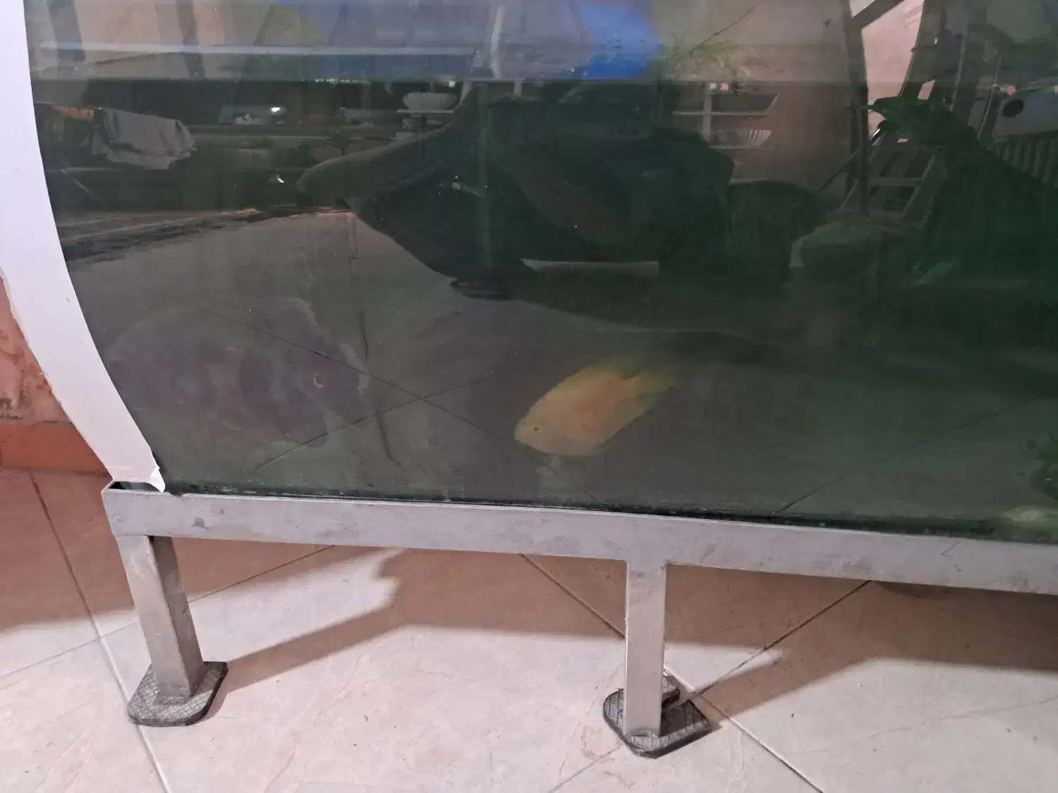 ماهی|ماهی|مشهد, مشکینی (شهرک غرب)|دیوار