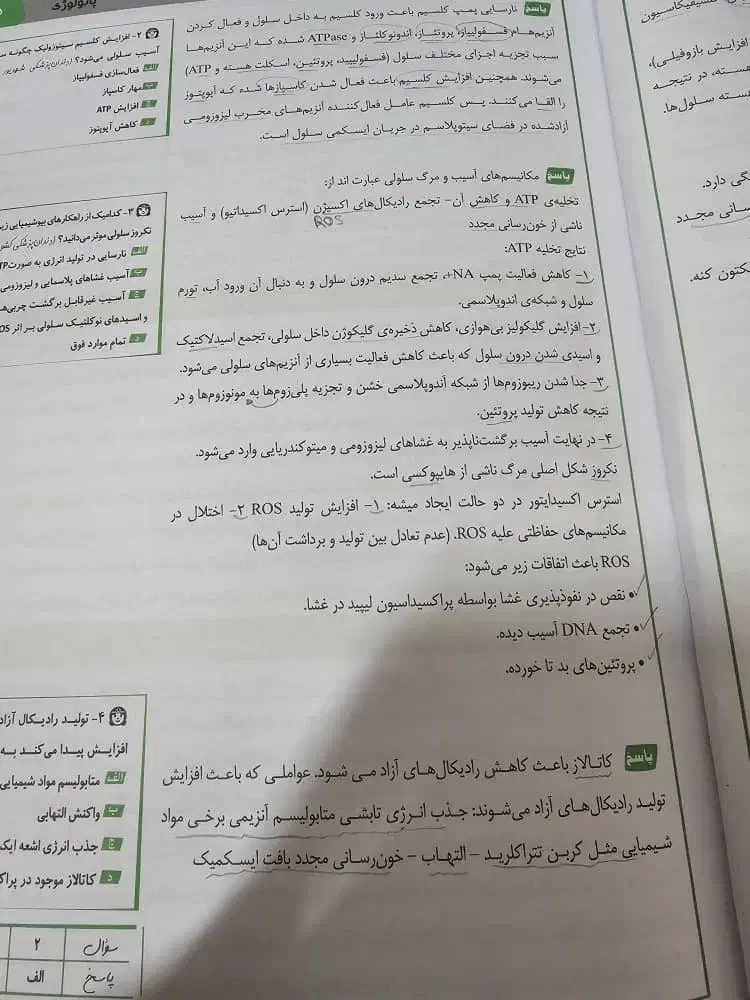 پک سیب سبز۱۴۰۴|کتاب و مجله آموزشی|شاهینشهر, طالقانی|دیوار