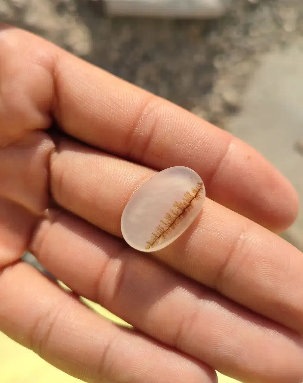 نگین انگشتر شجر درختان ردیفی|جواهرات|نورآباد, |دیوار