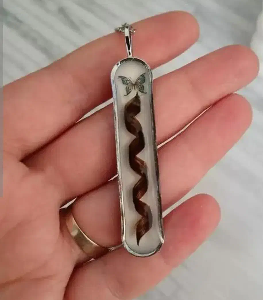 موی یار|بدلیجات|اردبیل, |دیوار