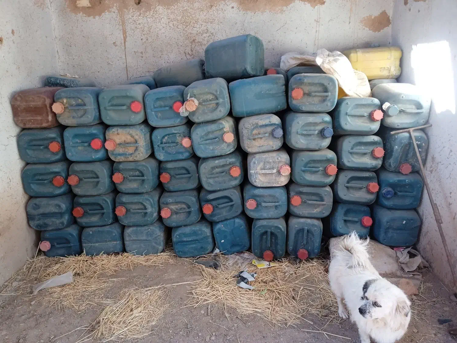 گالن پلاستیکی|ظروف نگهدارنده، پلاستیکی، یکبارمصرف|سبزوار, هویزه|دیوار