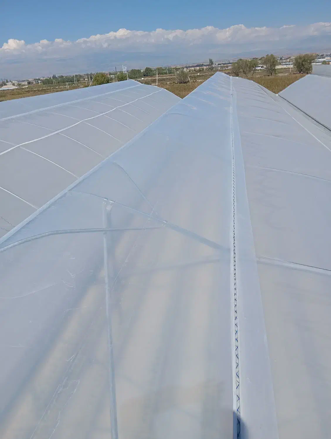 نصب گلخانه|خدمات پیشه و مهارت|گنبد کاووس, |دیوار