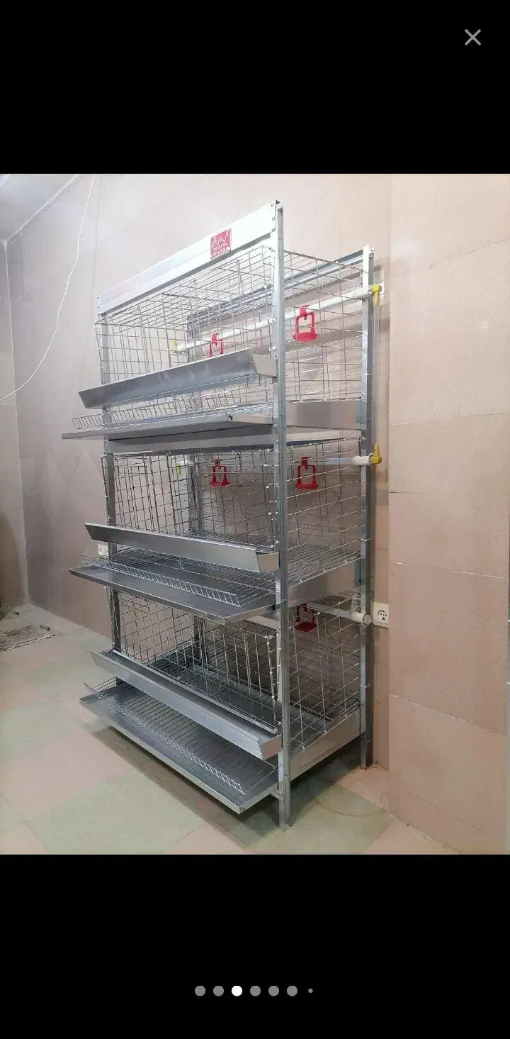 پرداخت در ۲ قستقفس مخصوص مرغ  یک عدد موجود است|لوازم جانبی حیوانات|اصفهان, شهرک کاوه|دیوار