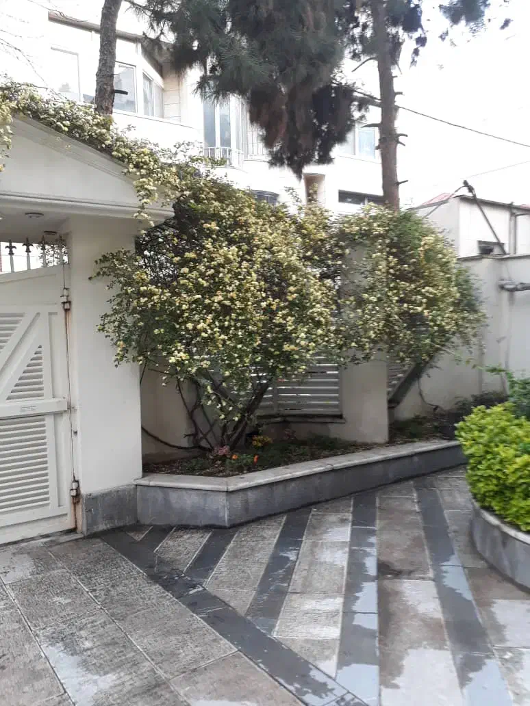 مشارکت نیاوران، 550متر، تک مالک، تاپ لوکیشن|مشارکت در ساخت املاک|تهران, جماران (نیاوران)|دیوار