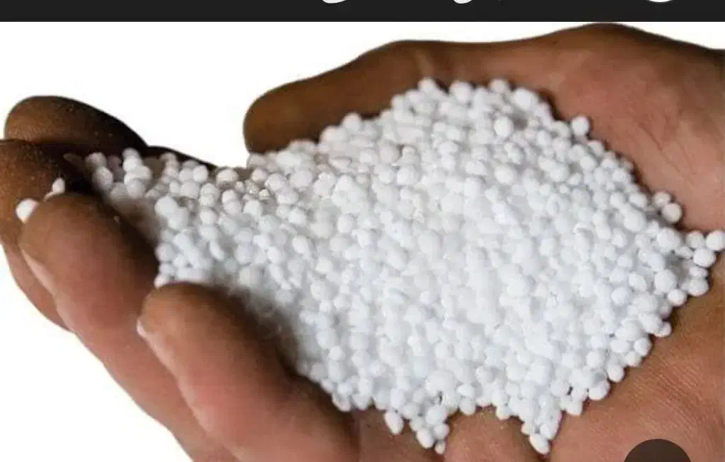 فروش کودسفید|گل و گیاه طبیعی|دهلران, |دیوار