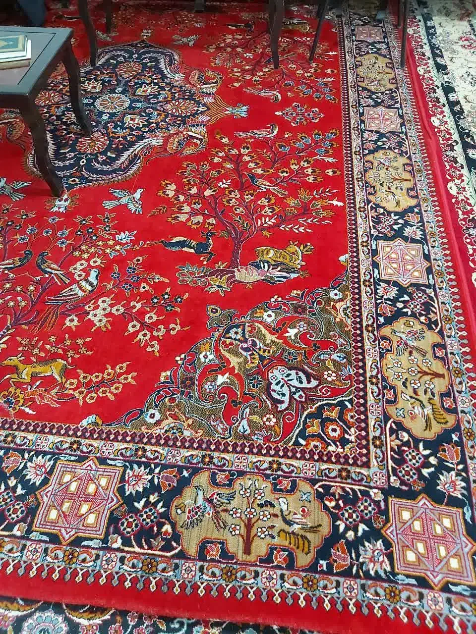 فرش ۱۲متری|فرش|کنگاور, |دیوار