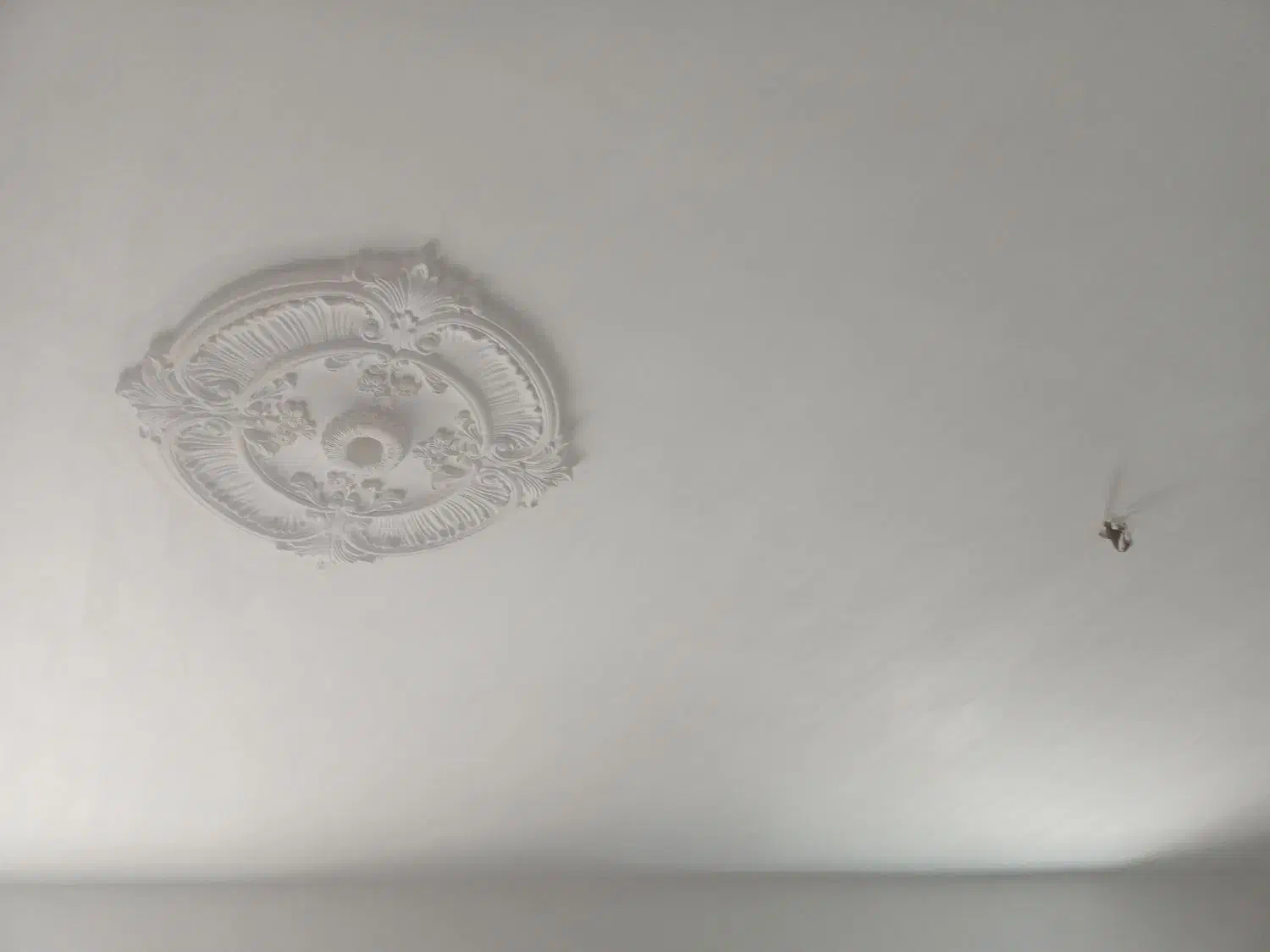 کچ کار|خدمات پیشه و مهارت|سبزوار, امیریه|دیوار