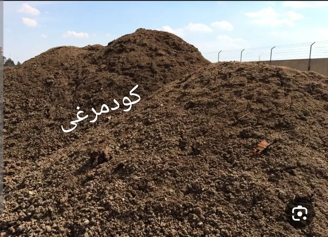 کودمرغی|خدمات باغبانی و درختکاری|گنبد کاووس, |دیوار