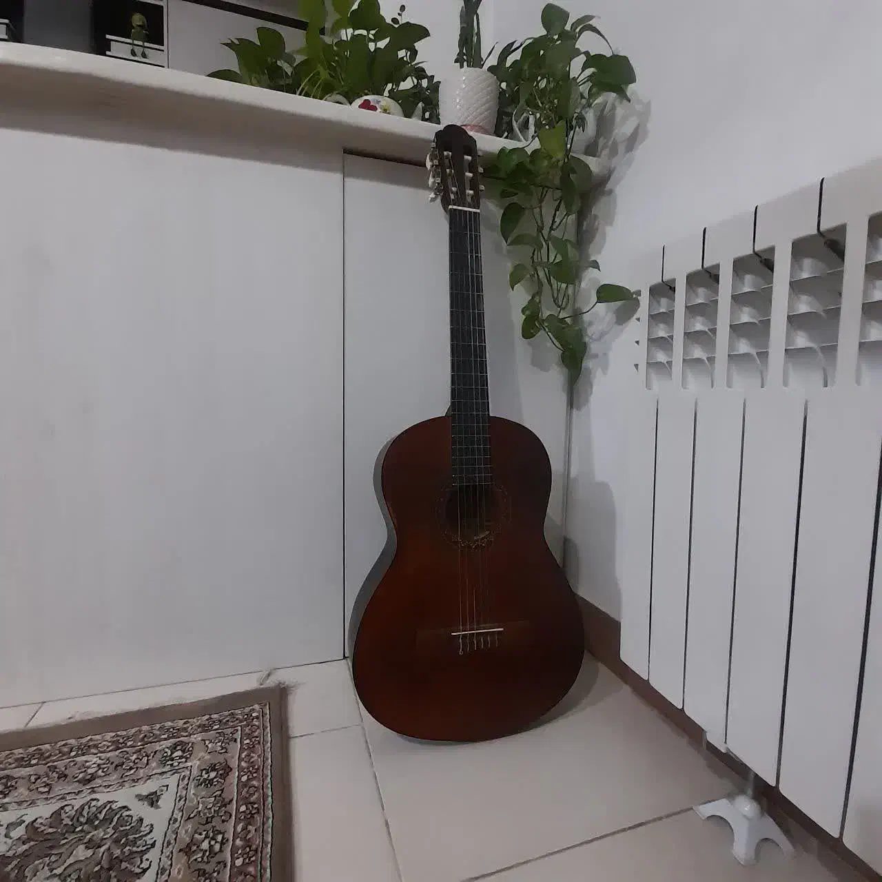 گیتار مهتاپور ۰۰۱نونو با تخفیف|گیتار، بیس، امپلیفایر|نظرآباد, شهرک آزادگان|دیوار