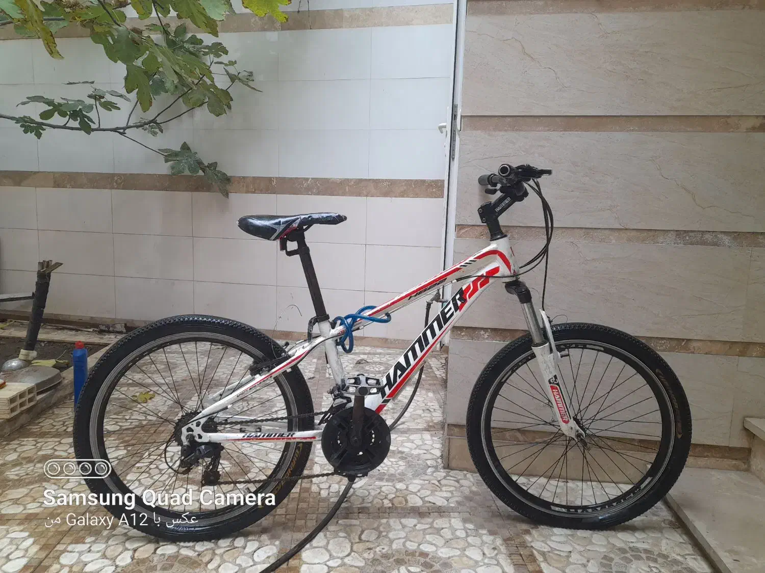 دوچرخه|دوچرخه، اسکیت، اسکوتر|پارسآباد, |دیوار