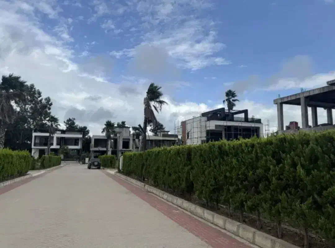 مجموعه ویلایی/جواز و سند/ویو جنگل/شرایطی|فروش زمین و ملک کلنگی|نشتارود, |دیوار