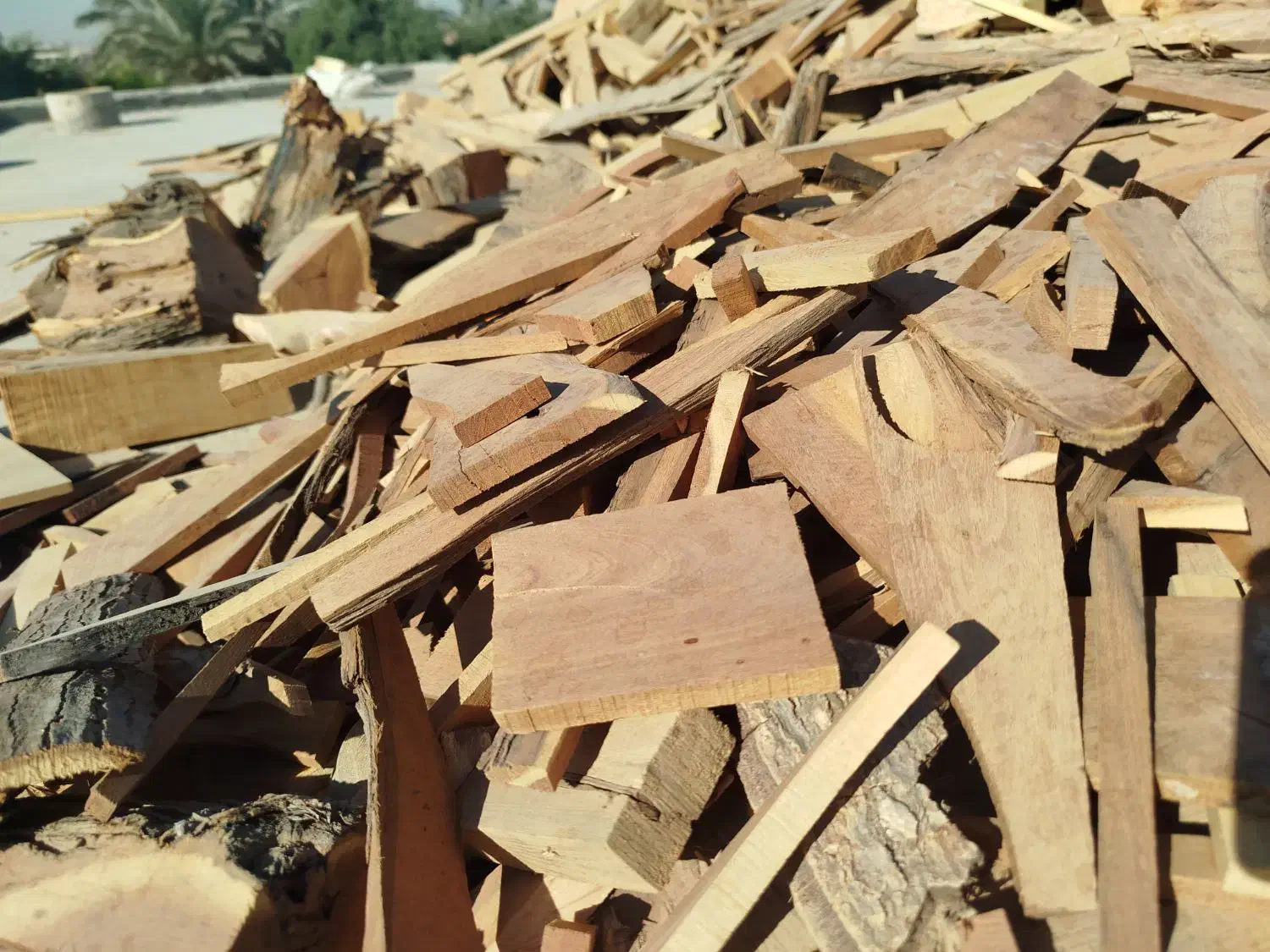 هیزم آتیشی|کوهنوردی و کمپینگ|بهبهان, |دیوار