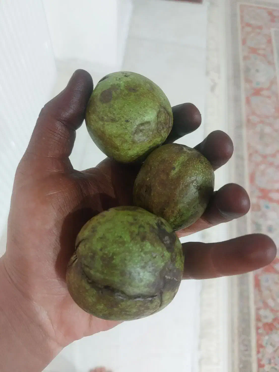 گردوی کاغذی درجه یک با پوسته و خشک|خوردنی و آشامیدنی|مشگین شهر, |دیوار