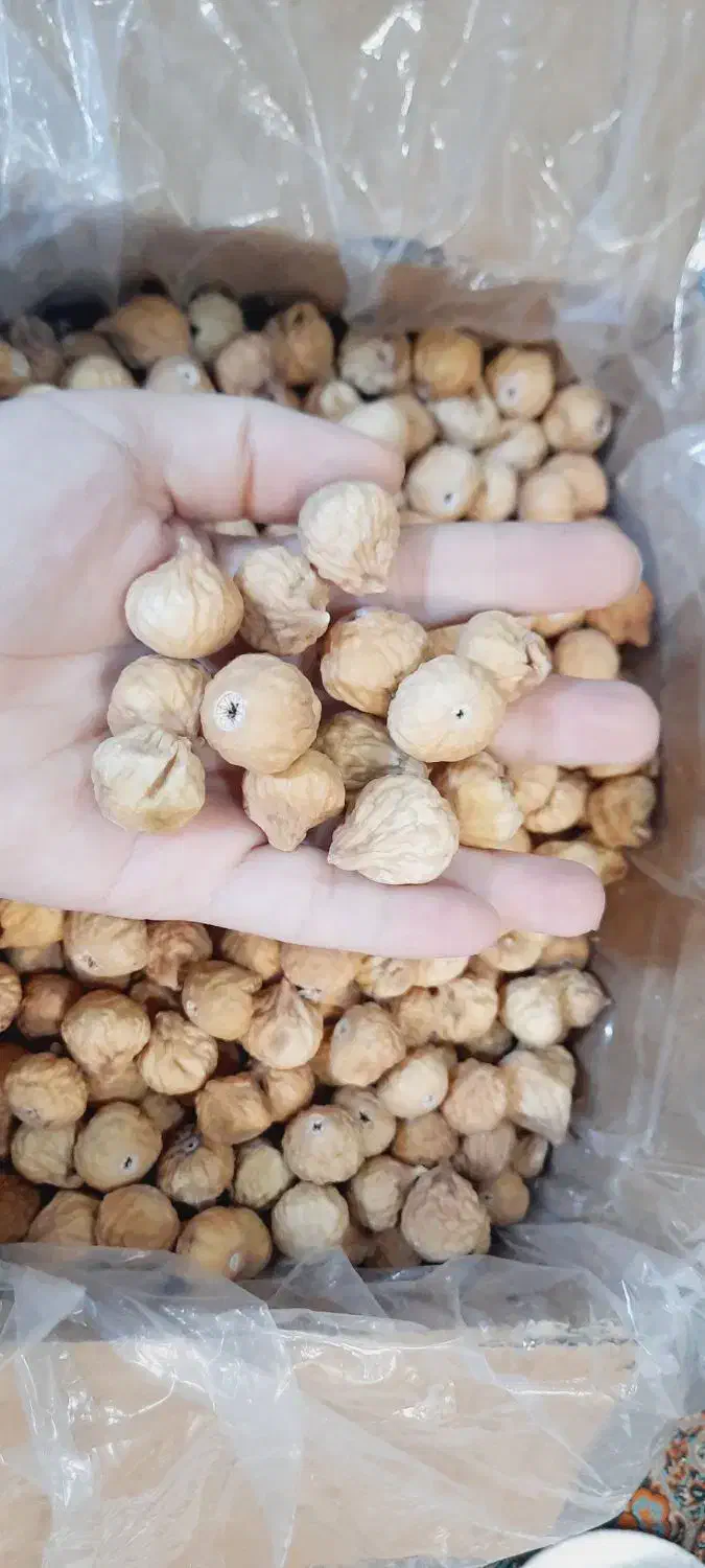 انجیر خشک درجه یک استهبان|خوردنی و آشامیدنی|تهران, جمهوری|دیوار