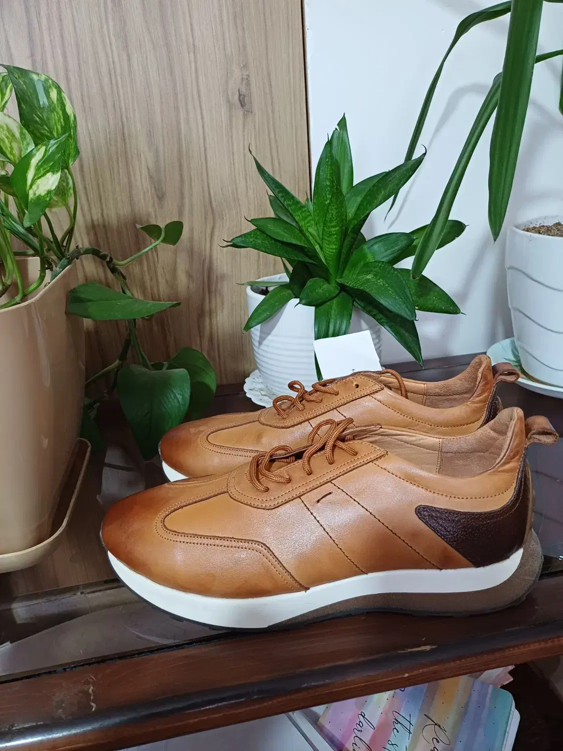 کفش نو|کیف، کفش، کمربند|کرمان, |دیوار