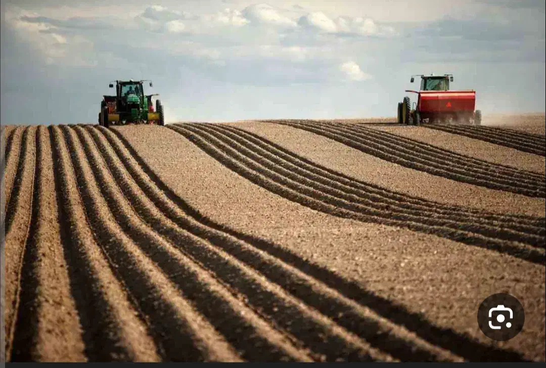 به اجاره داده میشود(جای بادام زمینی )کشت اول و دوم|فروش دفتر صنعتی، کشاورزی، تجاری|پارس‌آباد, |دیوار