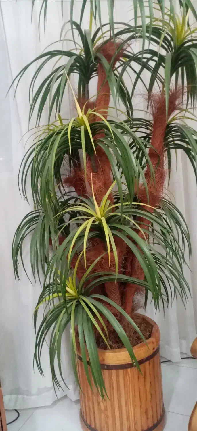 گل مصنوعی|گل مصنوعی|مشهد, آزادشهر|دیوار