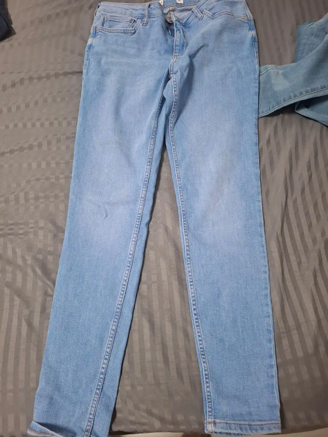 شلوار جین|لباس|شیراز, انجیر|دیوار