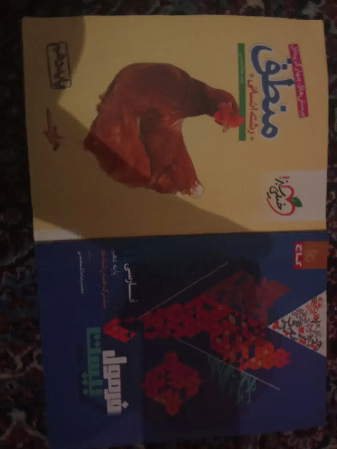 کتاب دهم انسانی|کتاب و مجله آموزشی|پاوه, |دیوار