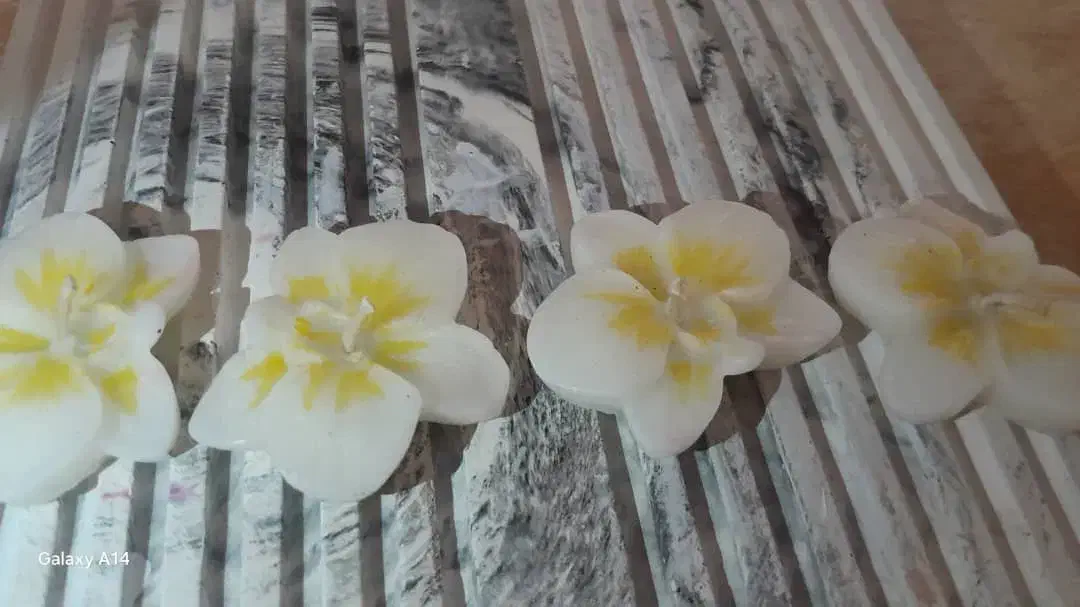 شمع ارکیده|صنایع دستی و سایر لوازم تزئینی|تهران, مجیدیه|دیوار