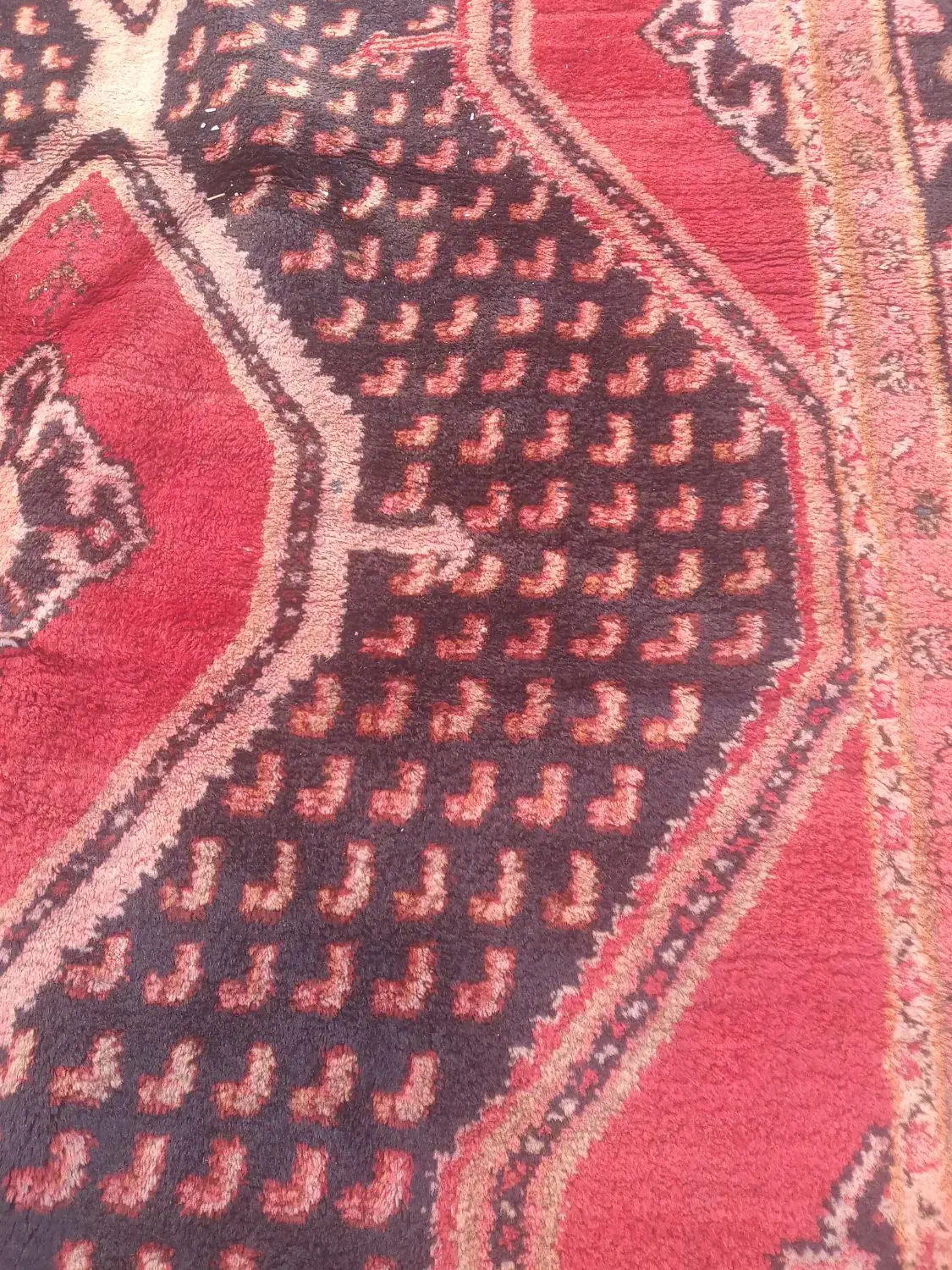 فرش قدیمی|فرش|صحنه, |دیوار