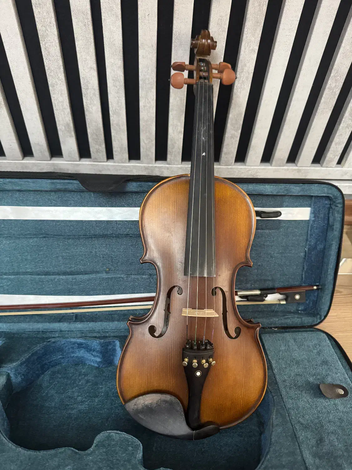 فروش ویولن|ویولن|تبریز, |دیوار