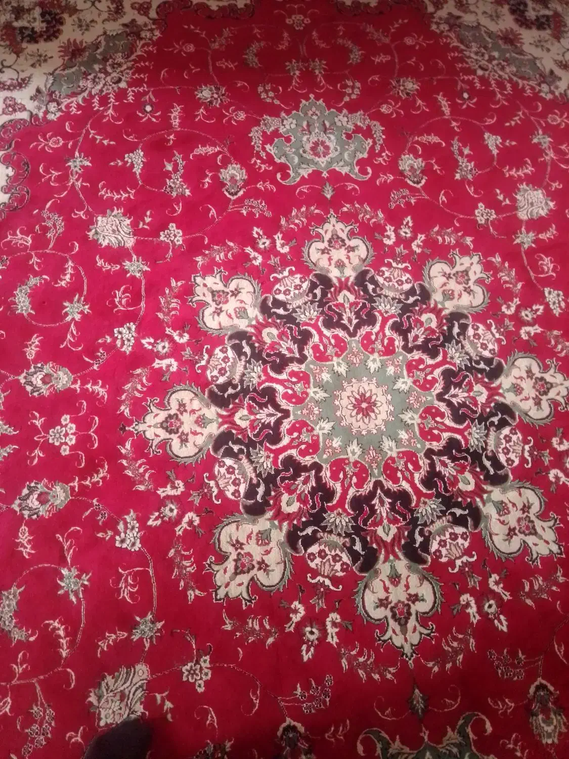 فرش لاکی|فرش|پیر بکران, |دیوار