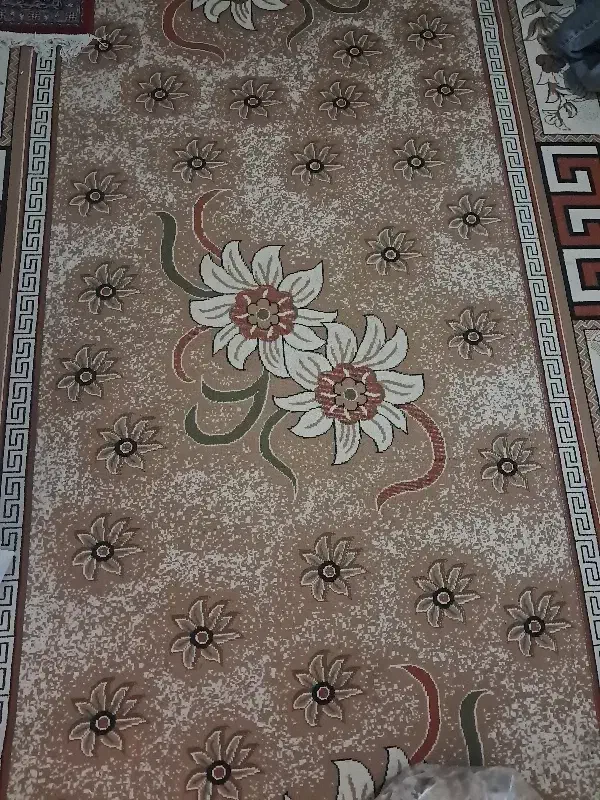 گلیم۲×۴|گلیم، جاجیم، گبه|سبزوار, شرق کال جنوبی (شمس آبادی)|دیوار