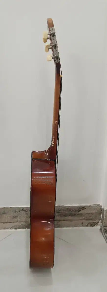 گیتار|گیتار، بیس، امپلیفایر|تایباد, |دیوار