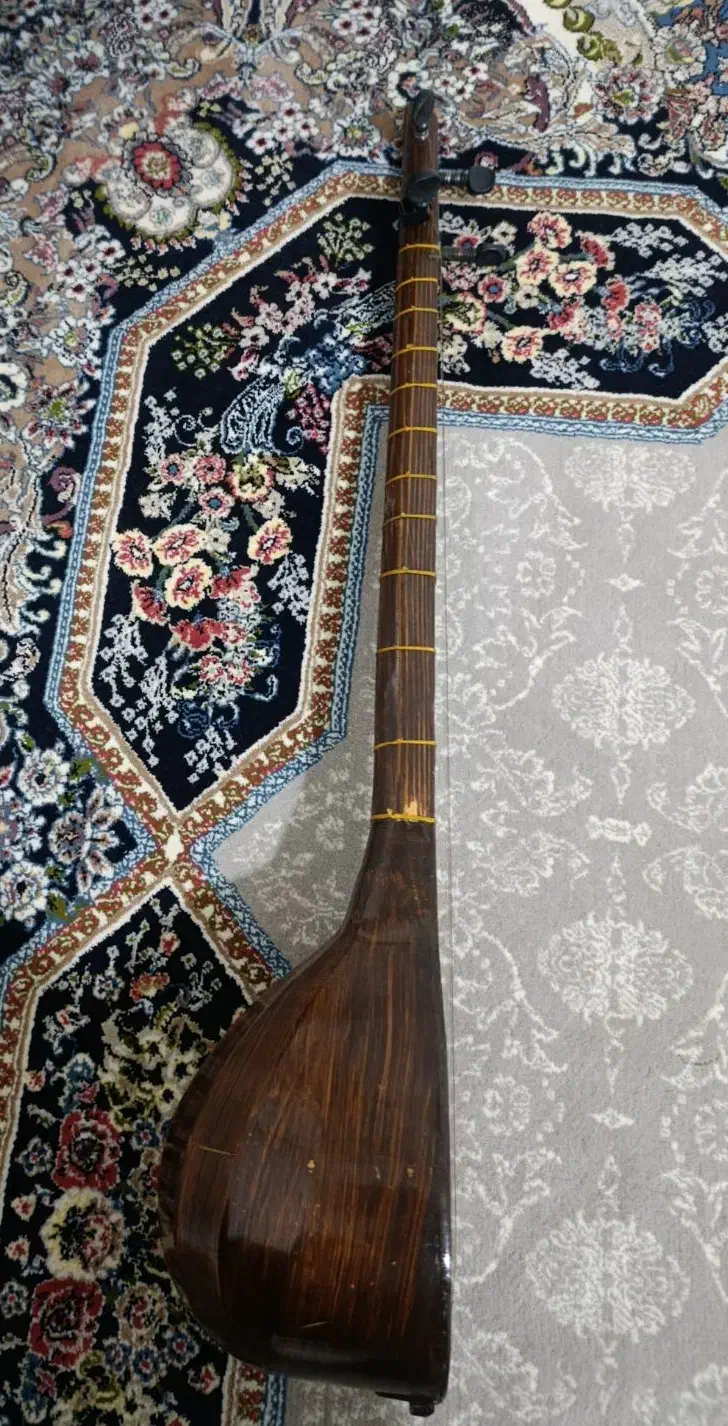 سه تار|سازهای سنتی|بروجرد, |دیوار